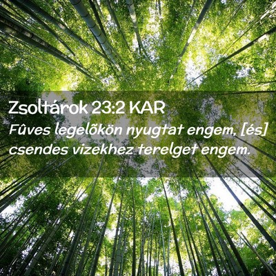 Picture 02 - Zsoltárok 23:2 KAR - Fûves legelõkön nyugtat engem, [és] csendes - Bible Verse Picture