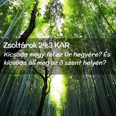 Picture 02 - Zsoltárok 24:3 KAR - Kicsoda megy fel az Úr hegyére? És kicsoda - Bible Verse Picture