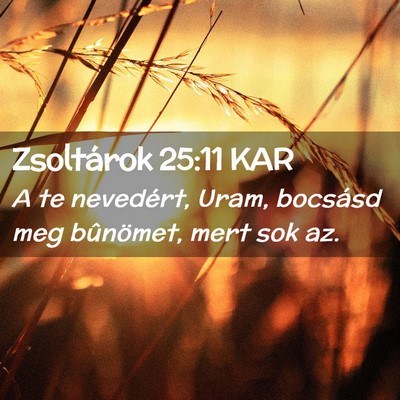 Picture 02 - Zsoltárok 25:11 KAR - A te nevedért, Uram, bocsásd meg bûnömet, - Bible Verse Picture