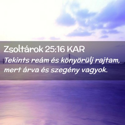 Picture 02 - Zsoltárok 25:16 KAR - Tekints reám és könyörülj rajtam, mert árva - Bible Verse Picture