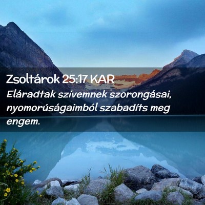 Picture 02 - Zsoltárok 25:17 KAR - Eláradtak szívemnek szorongásai, - Bible Verse Picture