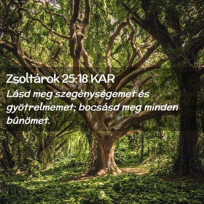 Picture 02 - Zsoltárok 25:18 KAR - Lásd meg szegénységemet és gyötrelmemet; - Bible Verse Picture