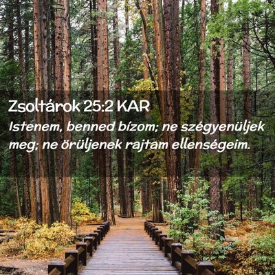 Picture 02 - Zsoltárok 25:2 KAR - Istenem, benned bízom; ne szégyenüljek meg; ne - Bible Verse Picture