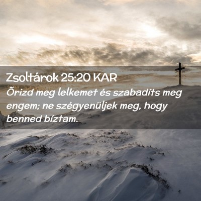 Picture 02 - Zsoltárok 25:20 KAR - Õrizd meg lelkemet és szabadíts meg engem; ne - Bible Verse Picture