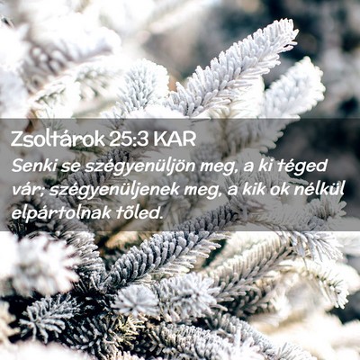 Picture 02 - Zsoltárok 25:3 KAR - Senki se szégyenüljön meg, a ki téged vár; - Bible Verse Picture