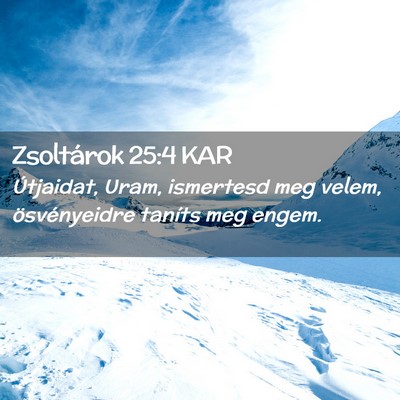 Picture 02 - Zsoltárok 25:4 KAR - Útjaidat, Uram, ismertesd meg velem, - Bible Verse Picture