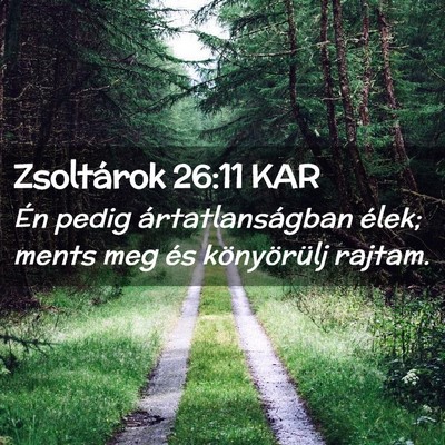 Picture 02 - Zsoltárok 26:11 KAR - Én pedig ártatlanságban élek; ments meg és - Bible Verse Picture