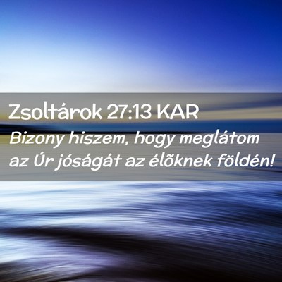 Picture 02 - Zsoltárok 27:13 KAR - Bizony hiszem, hogy meglátom az Úr jóságát - Bible Verse Picture