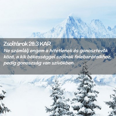 Picture 02 - Zsoltárok 28:3 KAR - Ne számlálj engem a hitetlenek és gonosztevõk - Bible Verse Picture