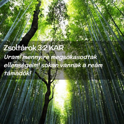 Picture 02 - Zsoltárok 3:2 KAR - Uram! mennyire megsokasodtak ellenségeim! sokan - Bible Verse Picture
