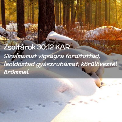 Picture 02 - Zsoltárok 30:12 KAR - Siralmamat vígságra fordítottad, leoldoztad - Bible Verse Picture