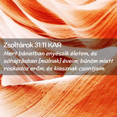 Picture 02 - Zsoltárok 31:11 KAR - Mert bánatban enyészik életem, és - Bible Verse Picture
