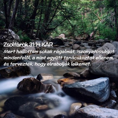 Picture 02 - Zsoltárok 31:14 KAR - Mert hallottam sokak rágalmát, iszonyatosságot - Bible Verse Picture