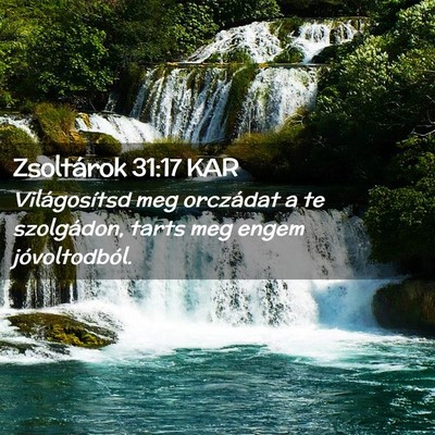 Picture 02 - Zsoltárok 31:17 KAR - Világosítsd meg orczádat a te szolgádon, - Bible Verse Picture