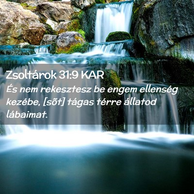 Picture 02 - Zsoltárok 31:9 KAR - És nem rekesztesz be engem ellenség kezébe, - Bible Verse Picture