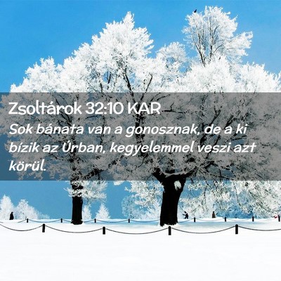 Picture 02 - Zsoltárok 32:10 KAR - Sok bánata van a gonosznak, de a ki bízik az - Bible Verse Picture