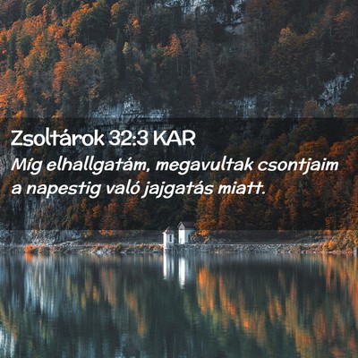 Picture 02 - Zsoltárok 32:3 KAR - Míg elhallgatám, megavultak csontjaim a - Bible Verse Picture
