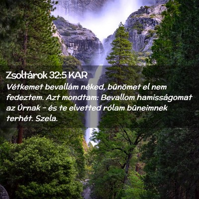 Picture 02 - Zsoltárok 32:5 KAR - Vétkemet bevallám néked, bûnömet el nem - Bible Verse Picture