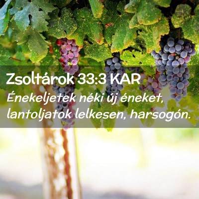 Picture 02 - Zsoltárok 33:3 KAR - Énekeljetek néki új éneket, lantoljatok - Bible Verse Picture