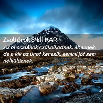 Picture 02 - Zsoltárok 34:11 KAR - Az oroszlánok szûkölködnek, éheznek; de a - Bible Verse Picture