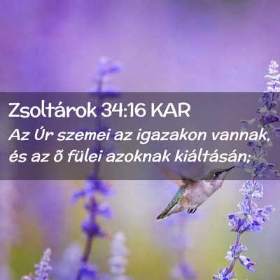 Picture 02 - Zsoltárok 34:16 KAR - Az Úr szemei az igazakon vannak, és az õ - Bible Verse Picture