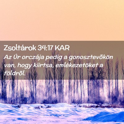 Picture 02 - Zsoltárok 34:17 KAR - Az Úr orczája pedig a gonosztevõkön van, hogy - Bible Verse Picture