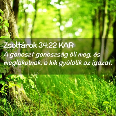 Picture 02 - Zsoltárok 34:22 KAR - A gonoszt gonoszság öli meg, és meglakolnak, a - Bible Verse Picture