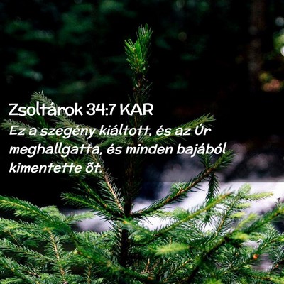 Picture 02 - Zsoltárok 34:7 KAR - Ez a szegény kiáltott, és az Úr meghallgatta, - Bible Verse Picture