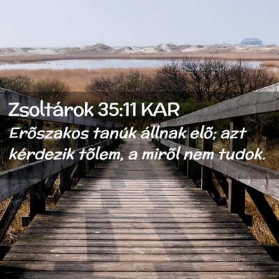 Picture 02 - Zsoltárok 35:11 KAR - Erõszakos tanúk állnak elõ; azt kérdezik - Bible Verse Picture