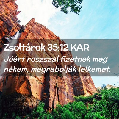 Picture 02 - Zsoltárok 35:12 KAR - Jóért roszszal fizetnek meg nékem, - Bible Verse Picture