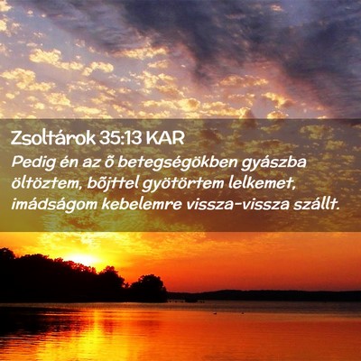 Picture 02 - Zsoltárok 35:13 KAR - Pedig én az õ betegségökben gyászba - Bible Verse Picture