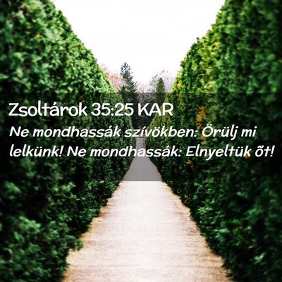 Picture 02 - Zsoltárok 35:25 KAR - Ne mondhassák szívökben: Örülj mi lelkünk! - Bible Verse Picture