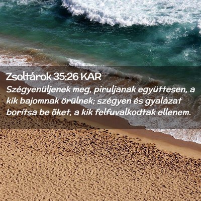 Picture 02 - Zsoltárok 35:26 KAR - Szégyenüljenek meg, piruljanak együttesen, a - Bible Verse Picture