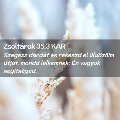 Picture 02 - Zsoltárok 35:3 KAR - Szegezz dárdát és rekeszd el üldözõim - Bible Verse Picture