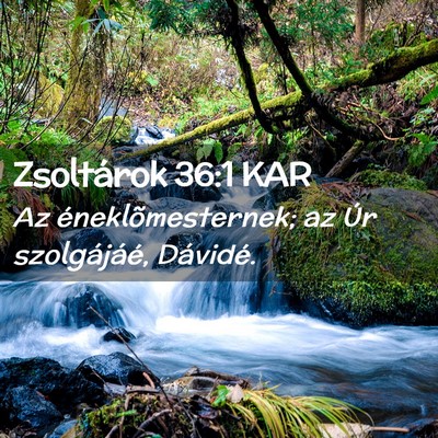 Picture 02 - Zsoltárok 36:1 KAR - Az éneklõmesternek; az Úr szolgájáé, - Bible Verse Picture