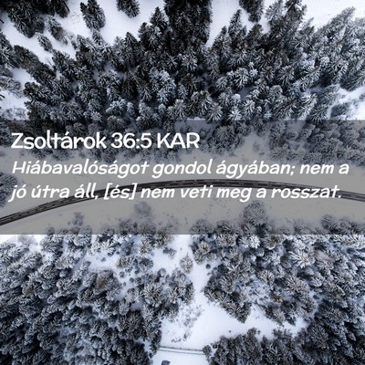 Picture 02 - Zsoltárok 36:5 KAR - Hiábavalóságot gondol ágyában; nem a jó - Bible Verse Picture