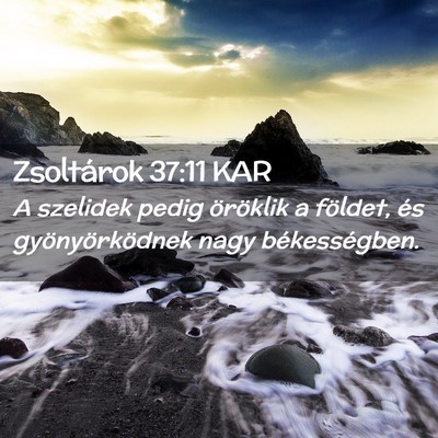Picture 02 - Zsoltárok 37:11 KAR - A szelidek pedig öröklik a földet, és - Bible Verse Picture