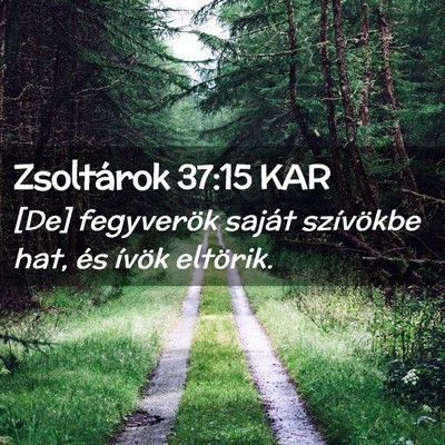 Picture 02 - Zsoltárok 37:15 KAR - [De] fegyverök saját szívökbe hat, és ívök - Bible Verse Picture