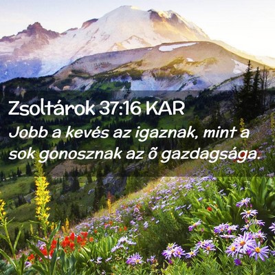 Picture 02 - Zsoltárok 37:16 KAR - Jobb a kevés az igaznak, mint a sok gonosznak az - Bible Verse Picture