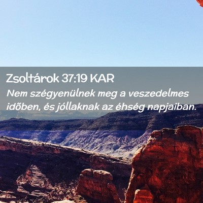 Picture 02 - Zsoltárok 37:19 KAR - Nem szégyenülnek meg a veszedelmes idõben, és - Bible Verse Picture