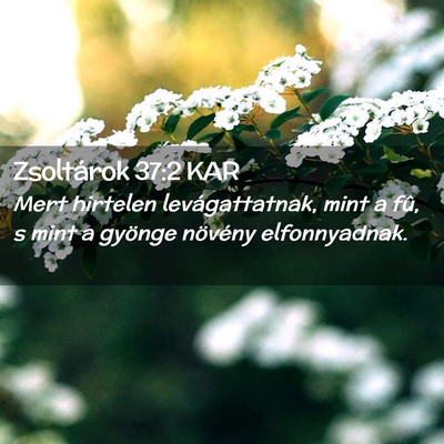 Picture 02 - Zsoltárok 37:2 KAR - Mert hirtelen levágattatnak, mint a fû, s mint - Bible Verse Picture