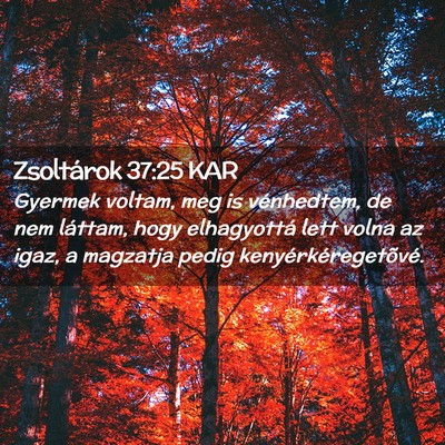 Picture 02 - Zsoltárok 37:25 KAR - Gyermek voltam, meg is vénhedtem, de nem - Bible Verse Picture