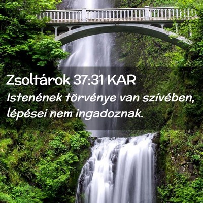 Picture 02 - Zsoltárok 37:31 KAR - Istenének törvénye van szívében, lépései - Bible Verse Picture