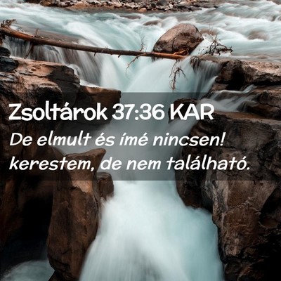 Picture 02 - Zsoltárok 37:36 KAR - De elmult és ímé nincsen! kerestem, de nem - Bible Verse Picture