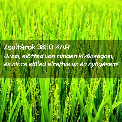 Picture 02 - Zsoltárok 38:10 KAR - Uram, elõtted van minden kívánságom, és - Bible Verse Picture