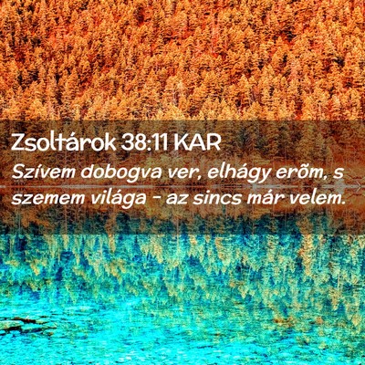 Picture 02 - Zsoltárok 38:11 KAR - Szívem dobogva ver, elhágy erõm, s szemem - Bible Verse Picture