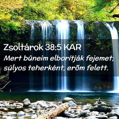Picture 02 - Zsoltárok 38:5 KAR - Mert bûneim elborítják fejemet; súlyos - Bible Verse Picture
