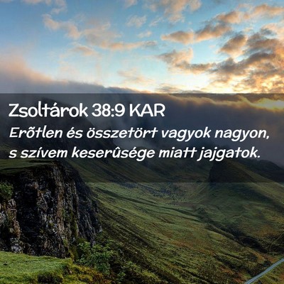 Picture 02 - Zsoltárok 38:9 KAR - Erõtlen és összetört vagyok nagyon, s szívem - Bible Verse Picture