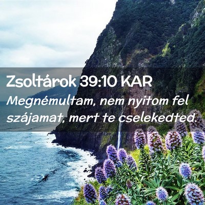 Picture 02 - Zsoltárok 39:10 KAR - Megnémultam, nem nyitom fel szájamat, mert te - Bible Verse Picture