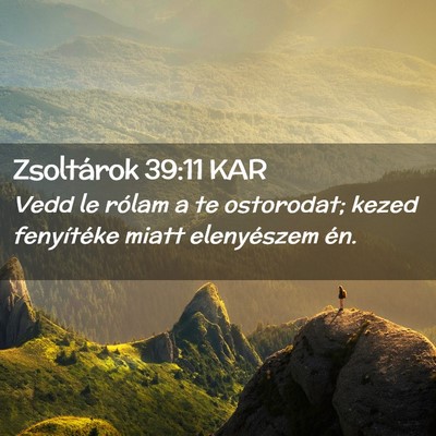 Picture 02 - Zsoltárok 39:11 KAR - Vedd le rólam a te ostorodat; kezed fenyítéke - Bible Verse Picture